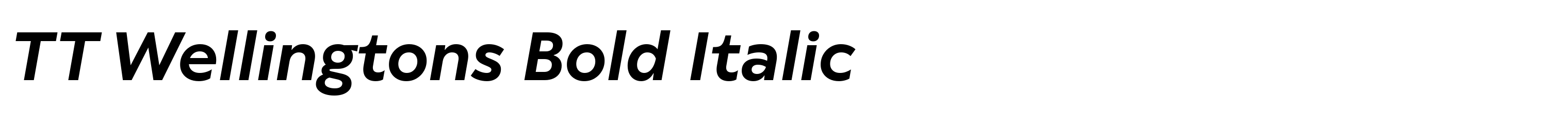 TT Wellingtons Bold Italic